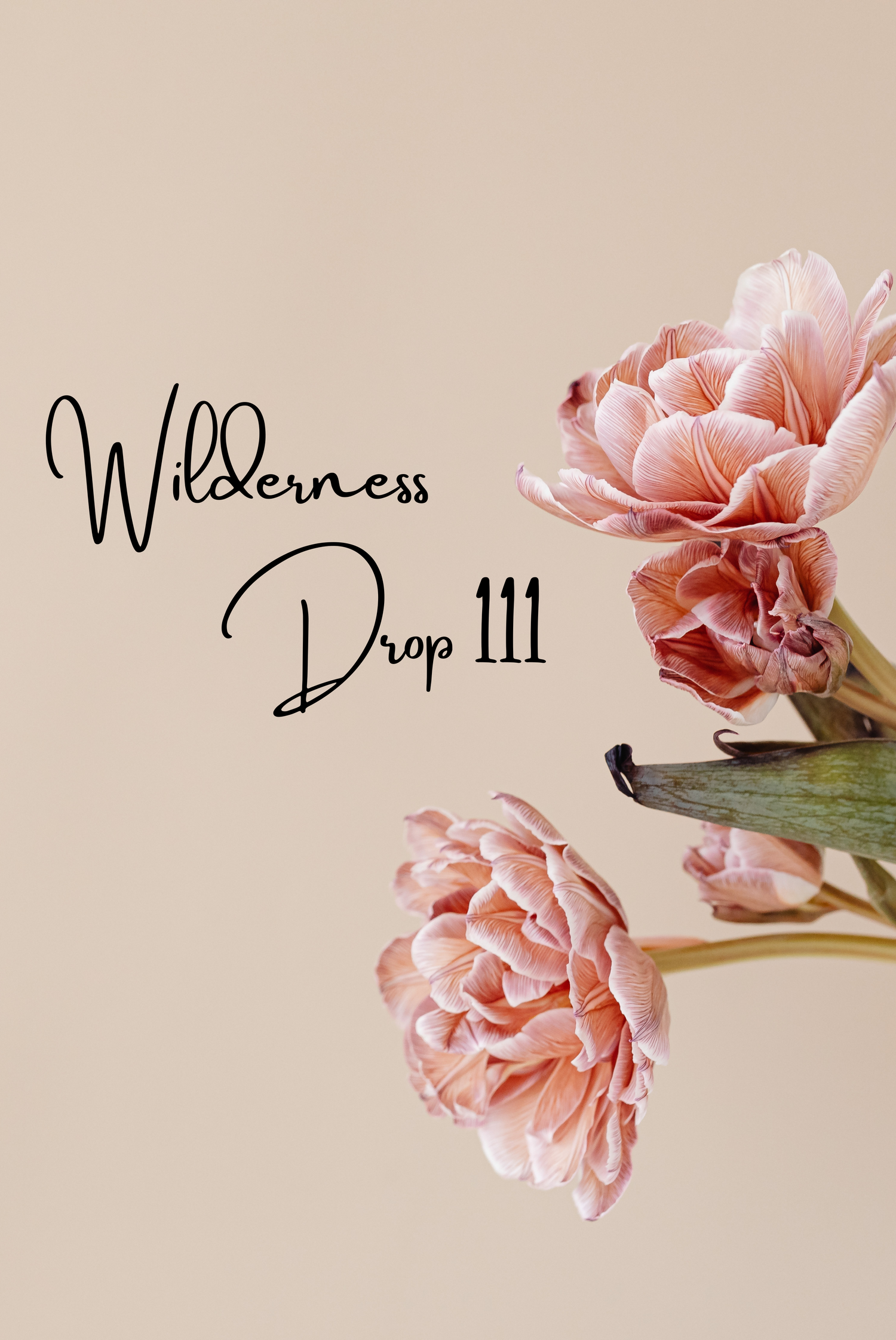 Wilderness Drop III
