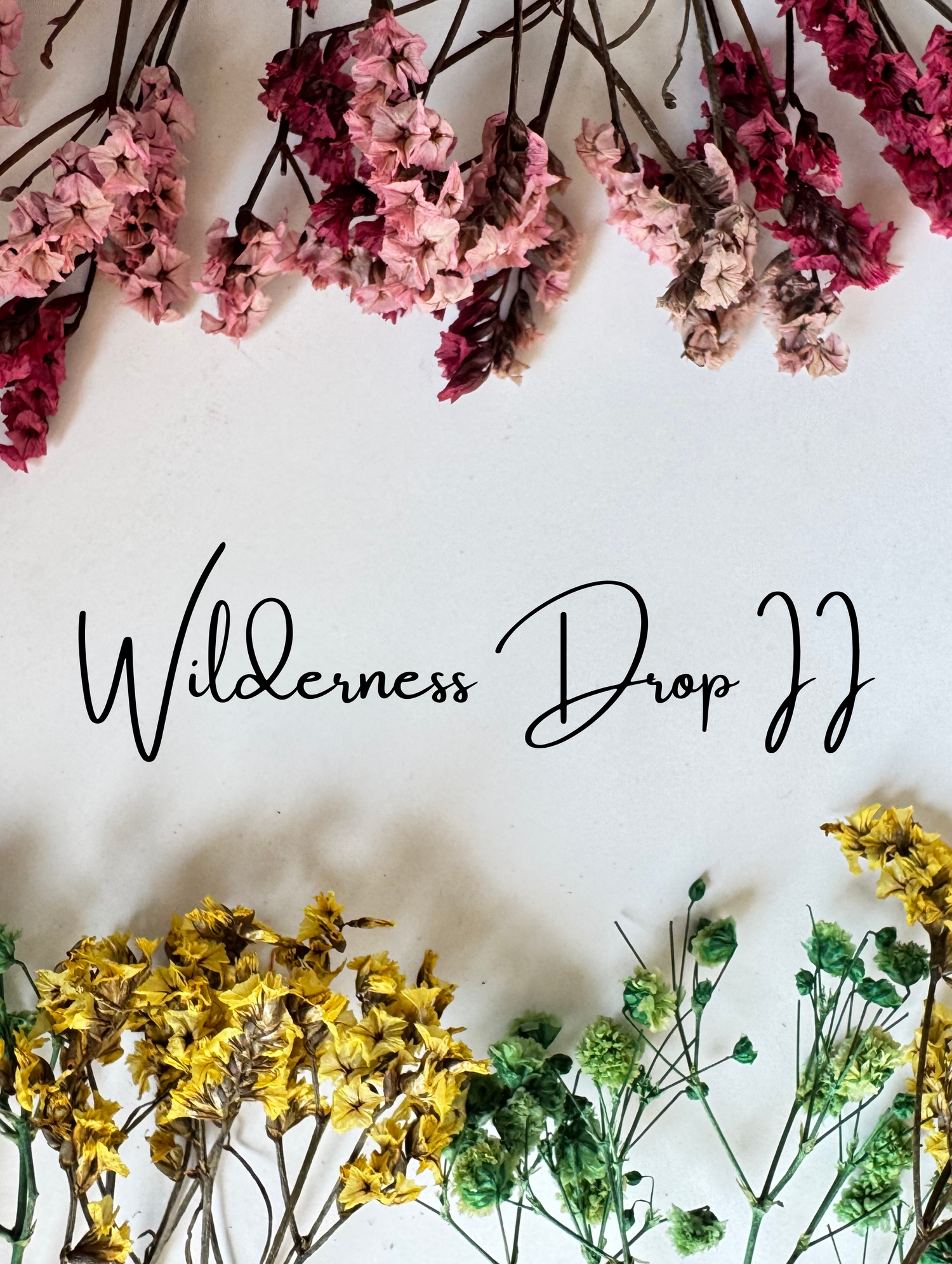 The Wilderness Drop II